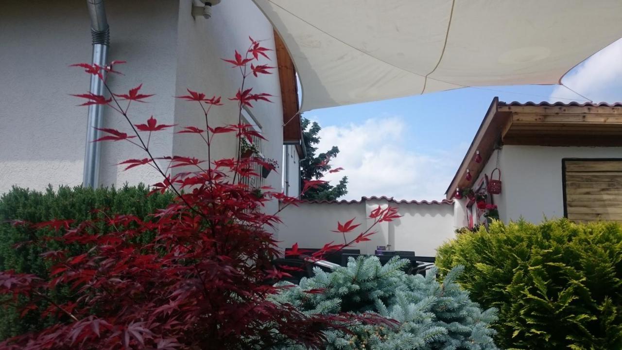 Vendeg Kucko Apartment Kethely Luaran gambar