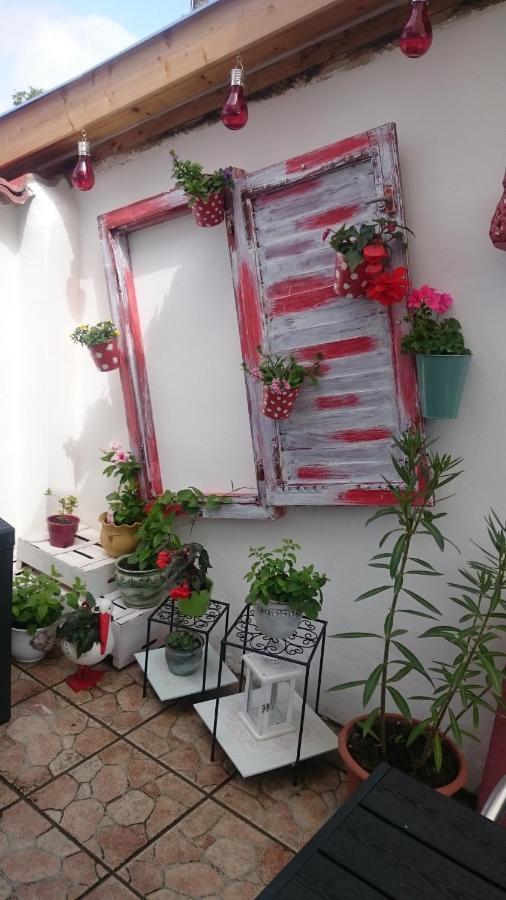 Vendeg Kucko Apartment Kethely Luaran gambar