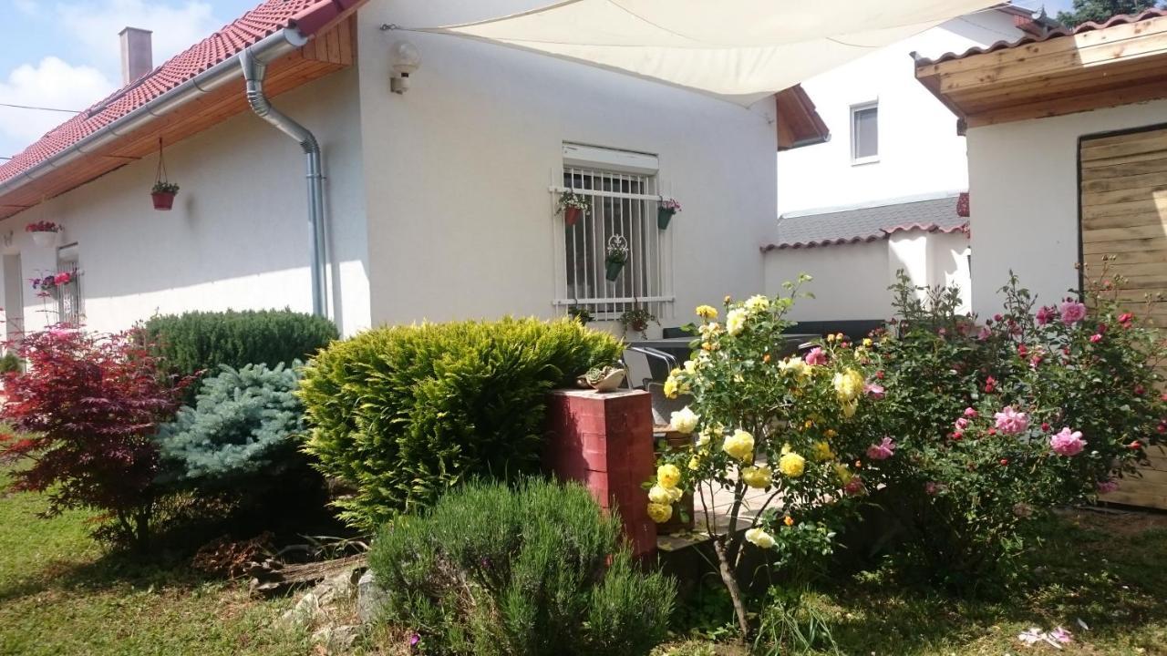 Vendeg Kucko Apartment Kethely Luaran gambar